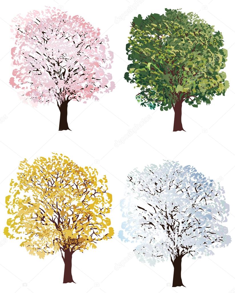 four seasons trees collection