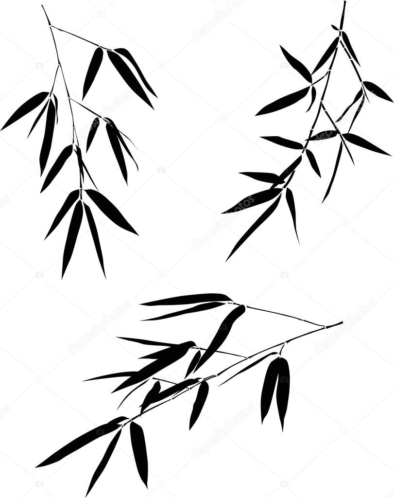 bamboo branches collection illustration