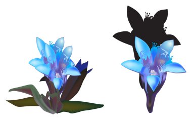 Beyaz arka plan üzerine açık mavi çiçekler