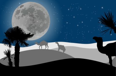 gece Çölde deve karavan