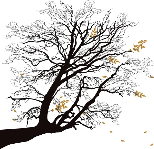 Outono árvore ramo isolado no branco — Vetor de Stock