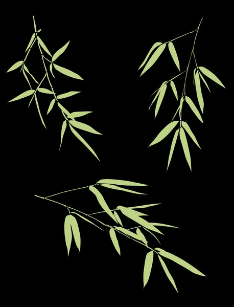 黒緑の竹の枝コレクション — ストックベクタ