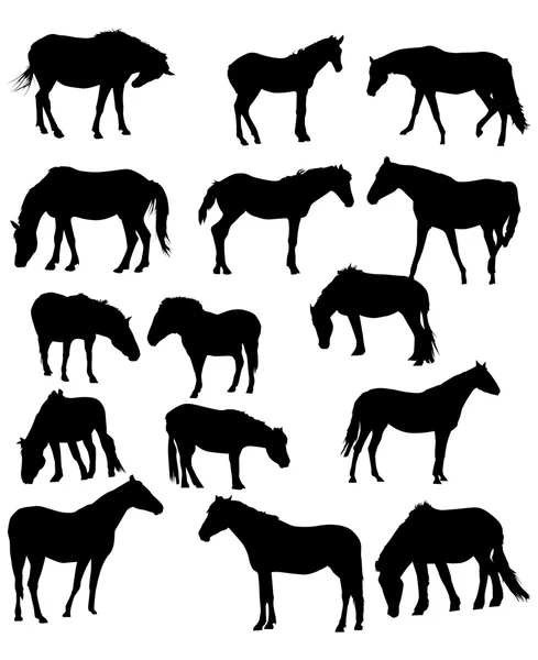 Fifteen horses isolated on white — Stock Vector