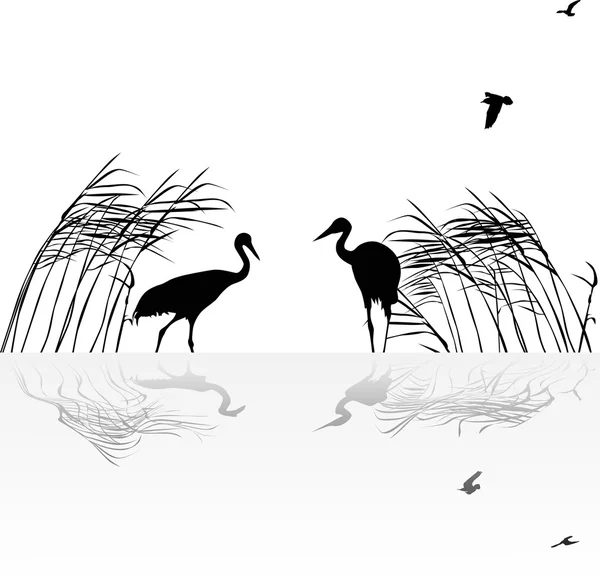 Two cranes in rush with reflection — Stock Vector