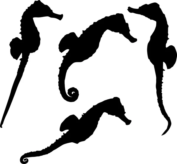 Quattro cavallucci marini isolati su sfondo bianco — Vettoriale Stock