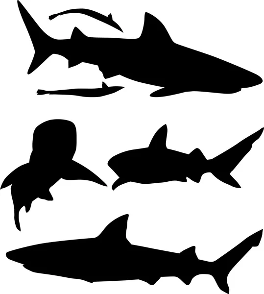 Köpekbalığı siluetleri koleksiyon üzerinde beyaz izole — Stok Vektör