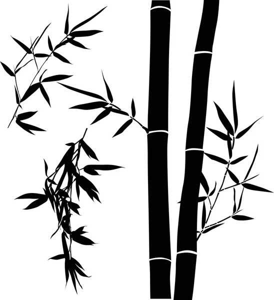 Illustration noire avec collection de branches de bambou — Image vectorielle