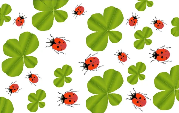 Green clover leaves and red ladybirds background — Stock Vector
