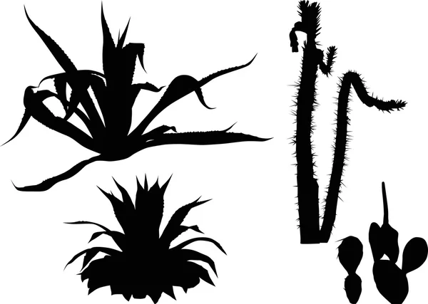 Set van cactus silhouetten geïsoleerd op wit — Stockvector