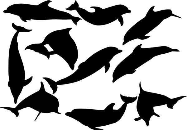 Ten dolphins isolated on white — Stock Vector