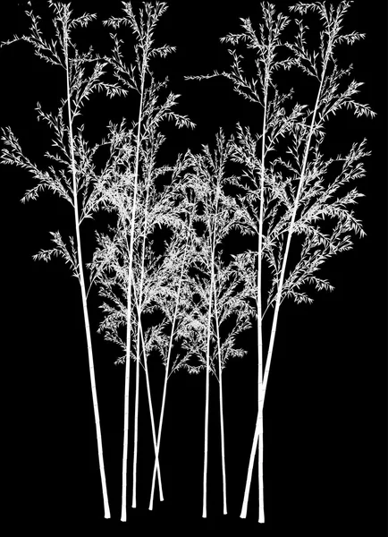 Белый бамбук на черном фоне — стоковый вектор