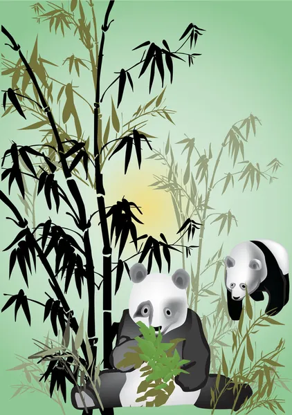 Panda i bambu illustration — Stock vektor