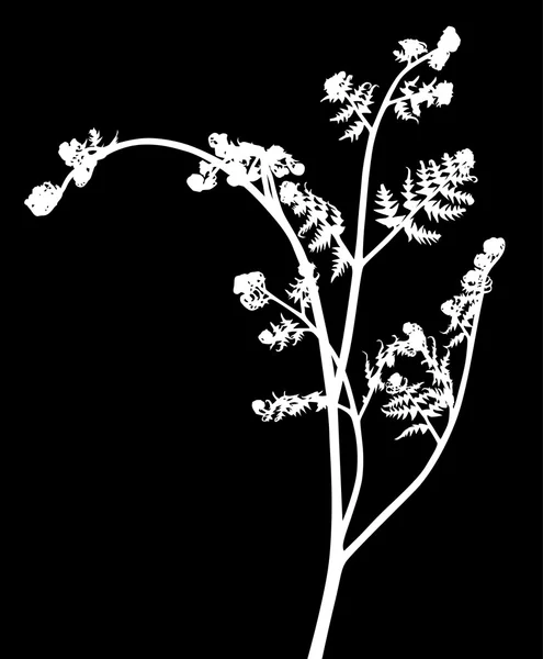 Silueta blanca helecho aislado en negro — Archivo Imágenes Vectoriales