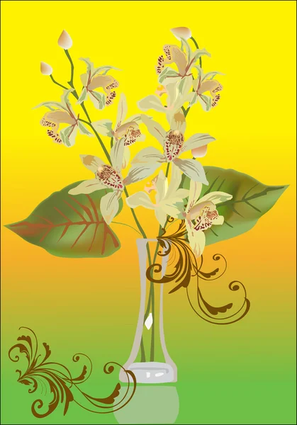 Yellow orchid flowers in vase — Stock Vector