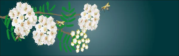 春の花の小さな蜂 — ストックベクタ