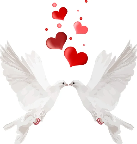Couple white doves and red hearts — Stock Vector