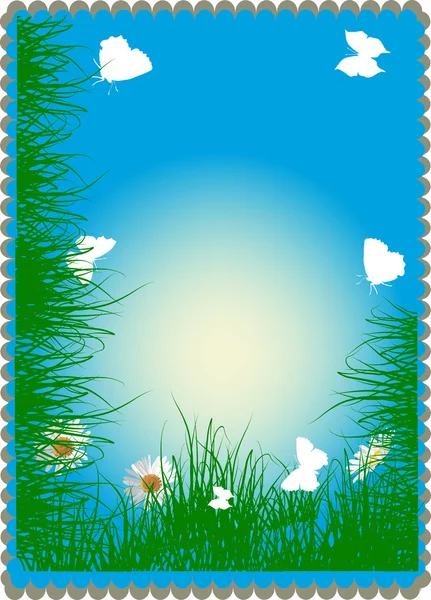 Chamomiles and white butterflies in green grass frame — Stock Vector