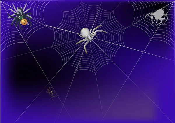 Spinnen in web op donker blauwe achtergrond — Stockvector