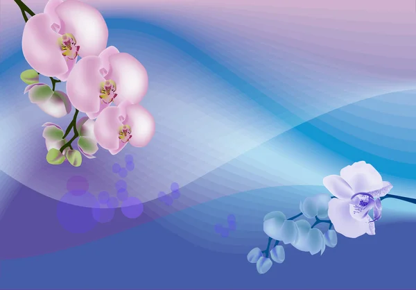 Blå och punk orkidéer dekoration — Stock vektor