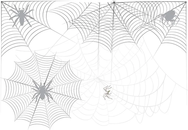 Arañas grandes en tela gris sobre blanco — Vector de stock