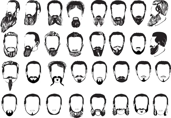 Set of thirty two men beards — Stock Vector