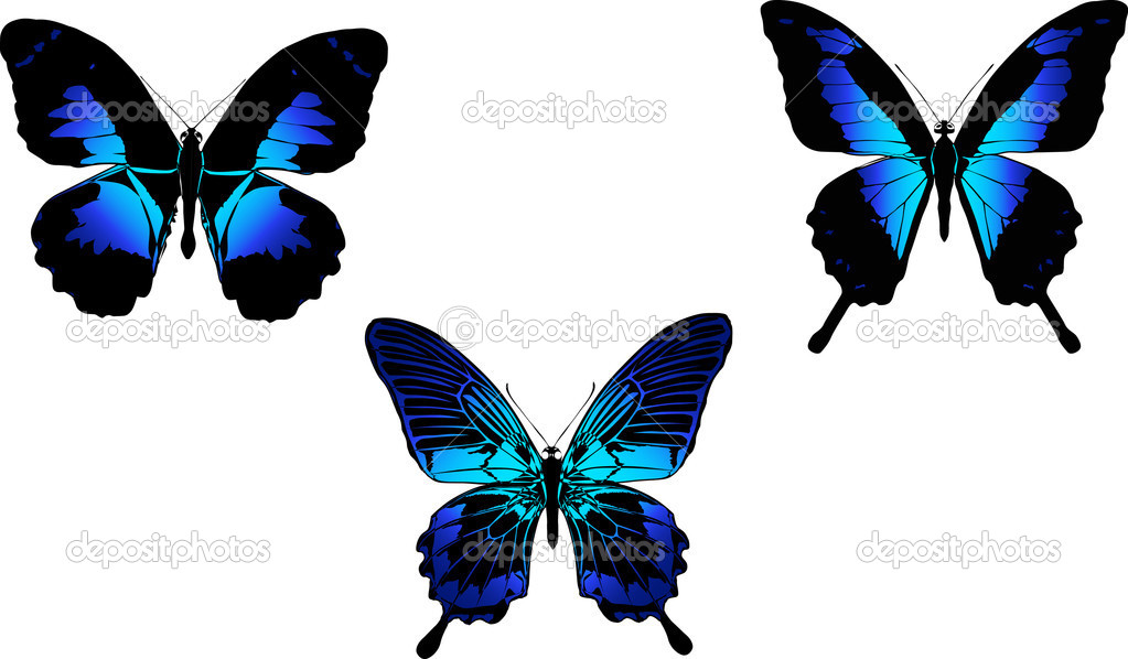 three blue butterflies isolated on white