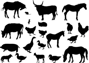 izole çiftlik kuşlar ve hayvanlar silhouettes