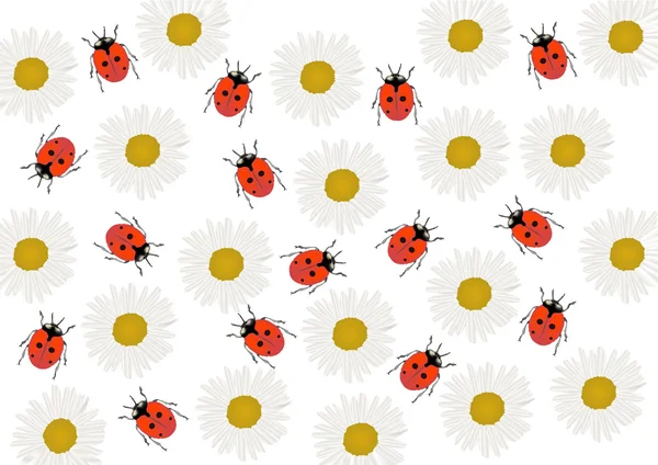 Camomilles et fond de bugs rouges — Image vectorielle