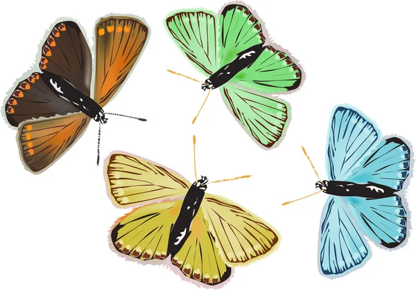 Vier Schmetterlinge unterschiedlicher Farbe isoliert auf weiß — Stockvektor
