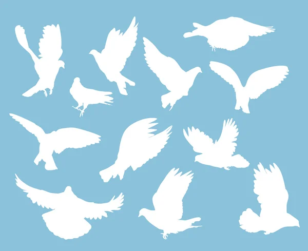 Set of white pigeons on light blue — Stock Vector