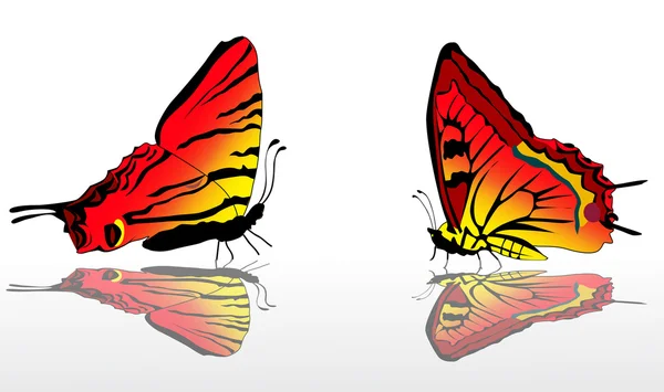 Zwei rote und gelbe Schmetterlinge — Stockvektor