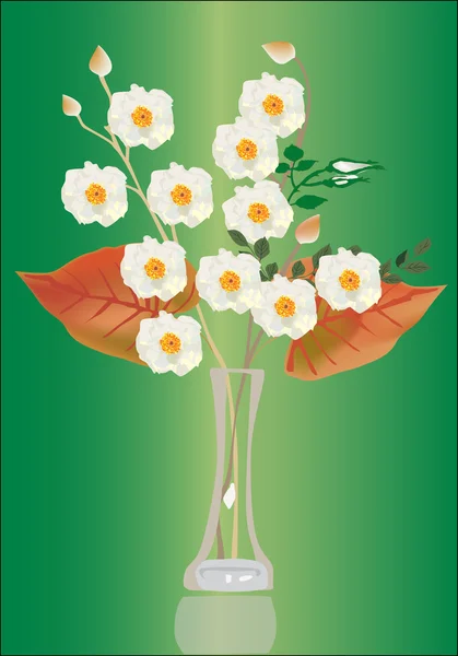 White roses in vase on green background — Stock Vector