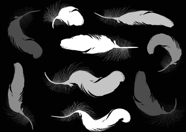 Set with nine grey feathers on black — Stock Vector