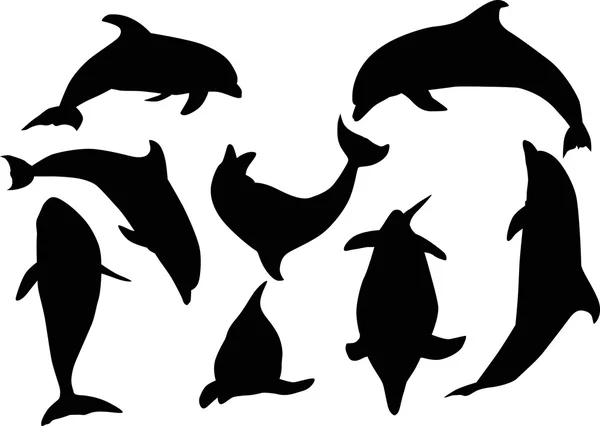 Nyolc delfinek elszigetelt fehér — Stock Vector
