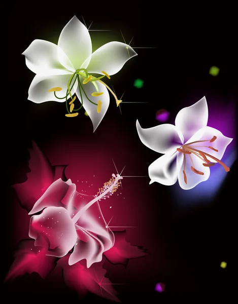 Three lily flowers on dark background — Stock Vector