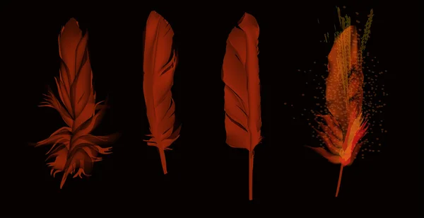 Vier donkere rode veren geïsoleerd op zwart — Stockvector