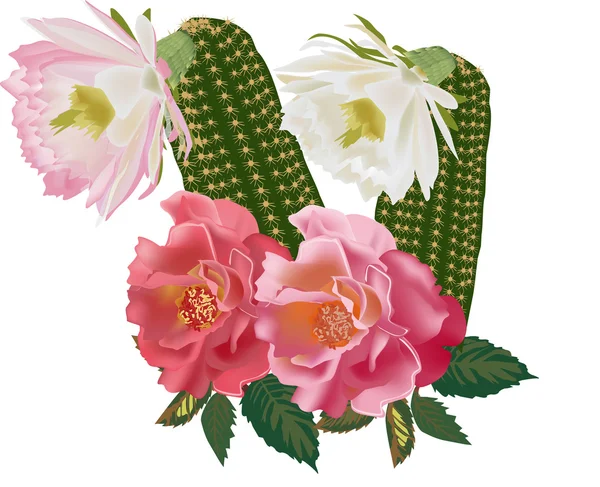 Cactus aislado con flores — Archivo Imágenes Vectoriales