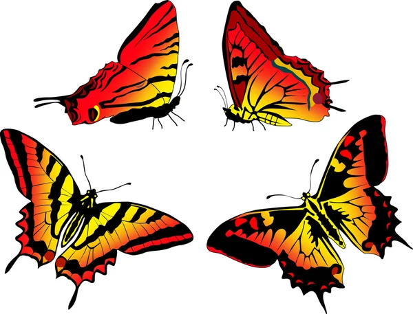 Quatre papillons rouges et jaunes sur blanc — Image vectorielle