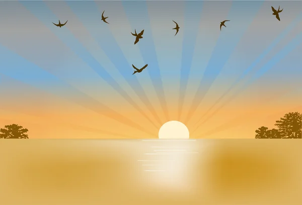 Zwaluwen en zonsondergang illustratie — Stockvector