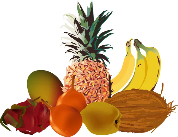 Illustration de fruits tropicaux isolés — Image vectorielle