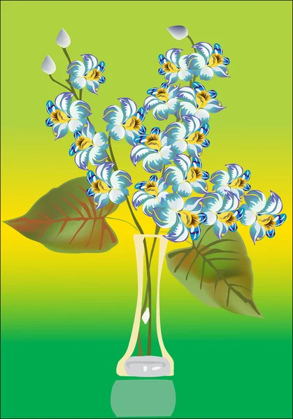 Licht blauw orchideeën bloemen in vaas — Stockvector