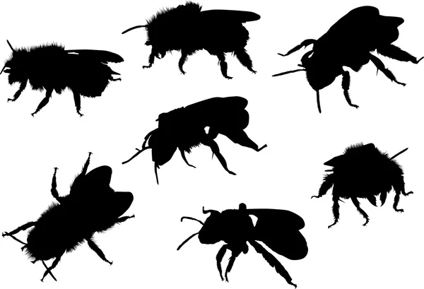 Seven bee silhouettes — Stock Vector