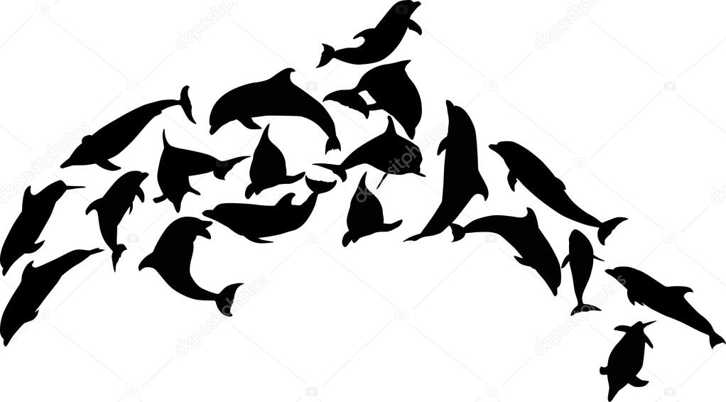 complex black dolphin isolated on white