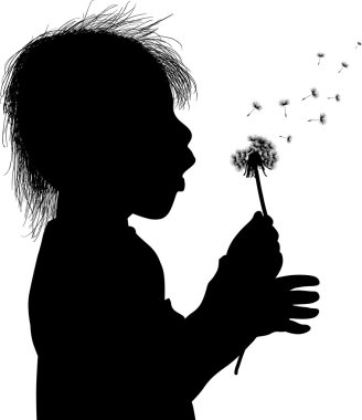 küçük kız beyaz izole karahindiba üfleme