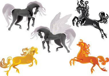 dört at ve pegasus