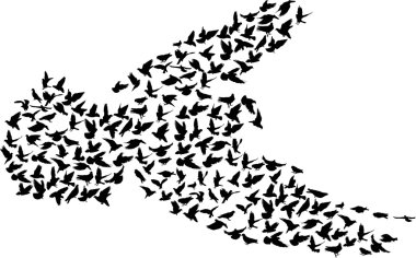 karmaşık siyah güvercin siluet