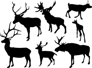 yedi izole geyik silhouettes