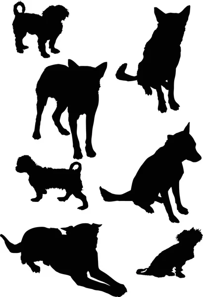 Seven black isolated on white dogs — Stock Vector