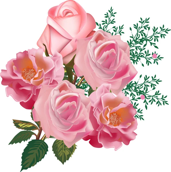 Cinco rosas rosadas aisladas sobre fondo blanco — Vector de stock