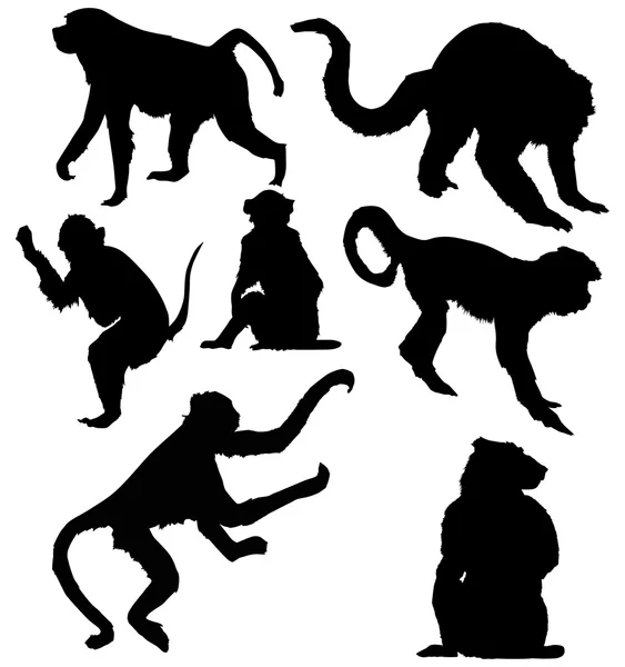 Sedm izolované opice siluety — Stockový vektor
